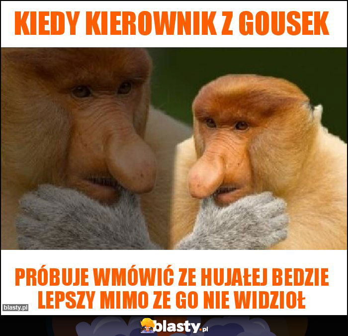 Kiedy kierownik z gousek