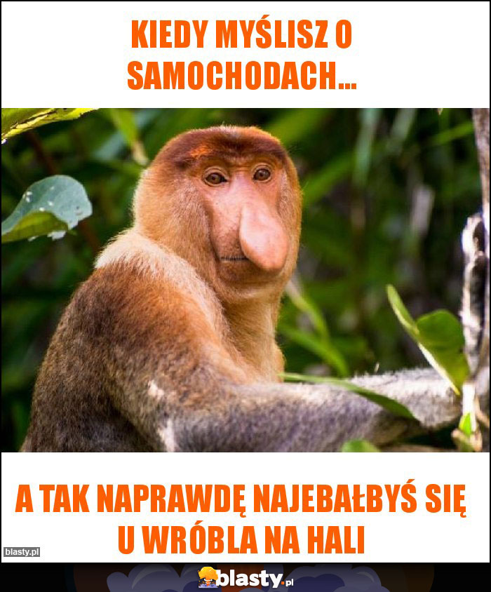 Kiedy myślisz o samochodach...