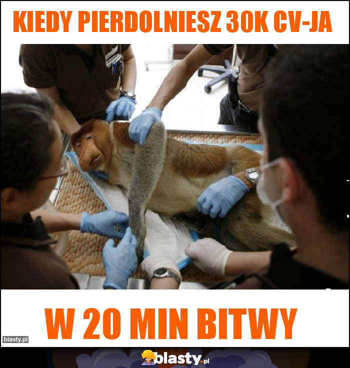 Kiedy pierdolniesz 30k CV-ja