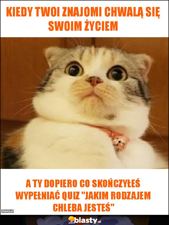 Kiedy twoi znajomi chwalą się swoim życiem