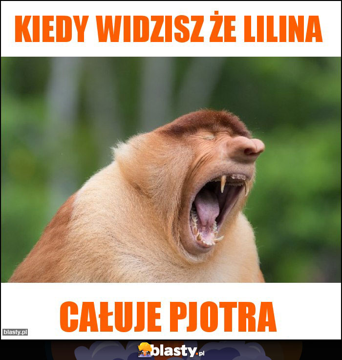 Kiedy widzisz Że Lilina