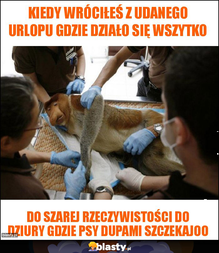 Kiedy wróciłeś z udanego urlopu gdzie działo się wszytko