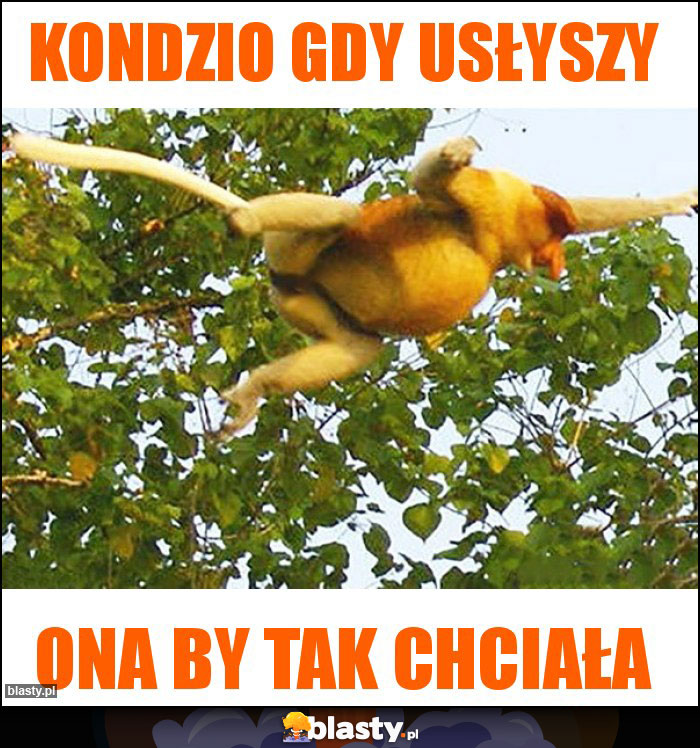 Kondzio gdy usłyszy