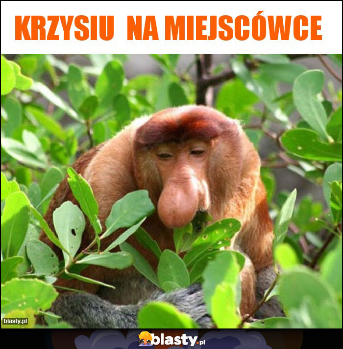 Krzysiu  na miejscówce