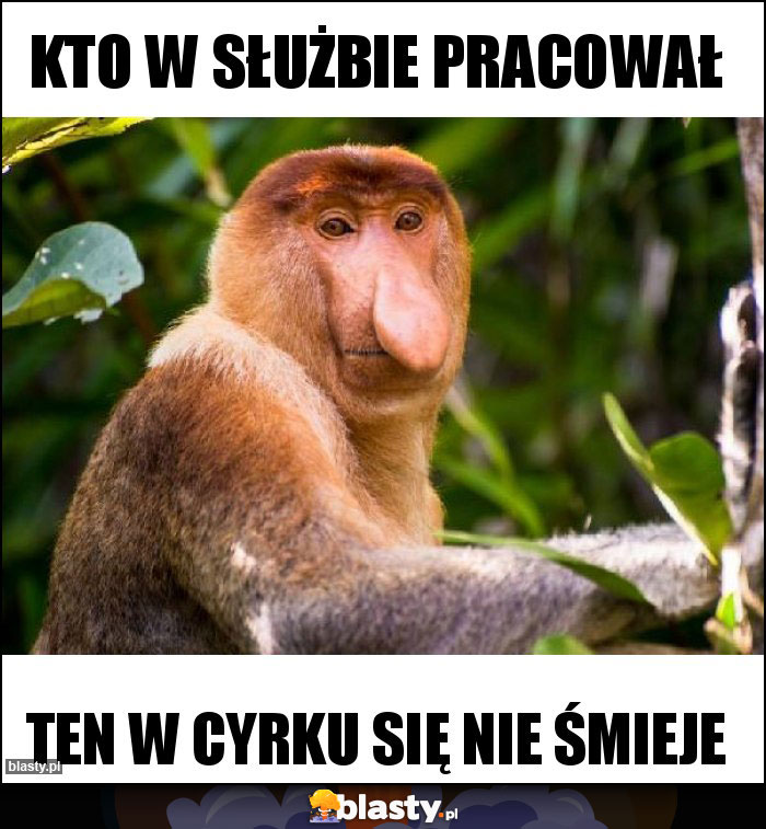 Kto w służbie pracował