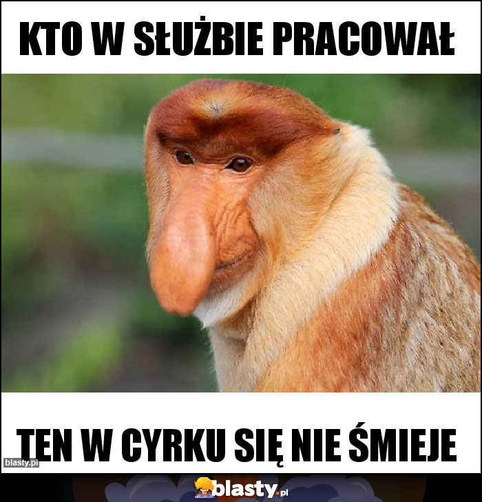 Kto w służbie pracował