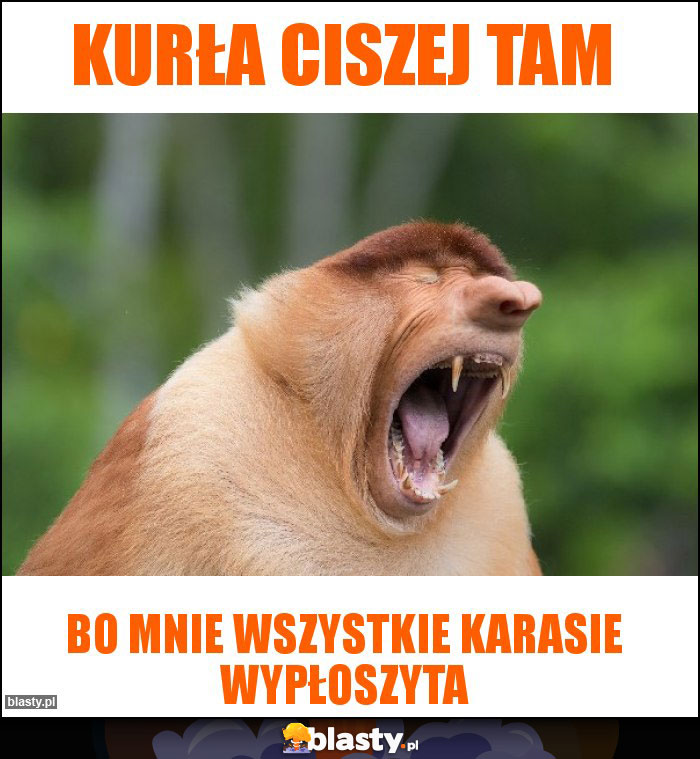 Kurła ciszej tam