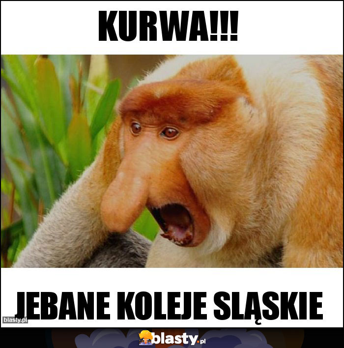 Kurwa!!!