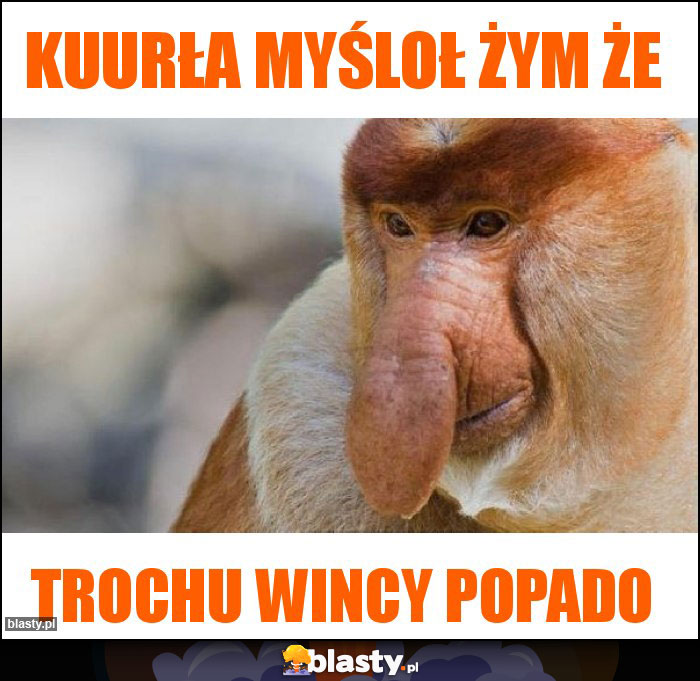 Kuurła myśloł żym że