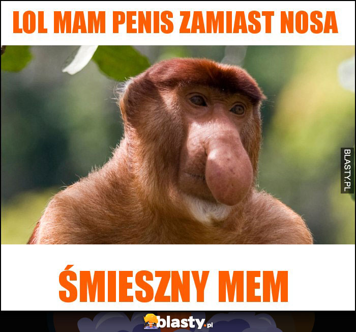 Lol mam penis zamiast nosa