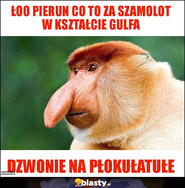 Łoo pierun co to za szamolot w kształcie gulfa