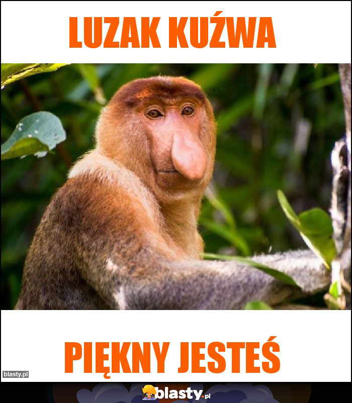 Luzak kuźwa