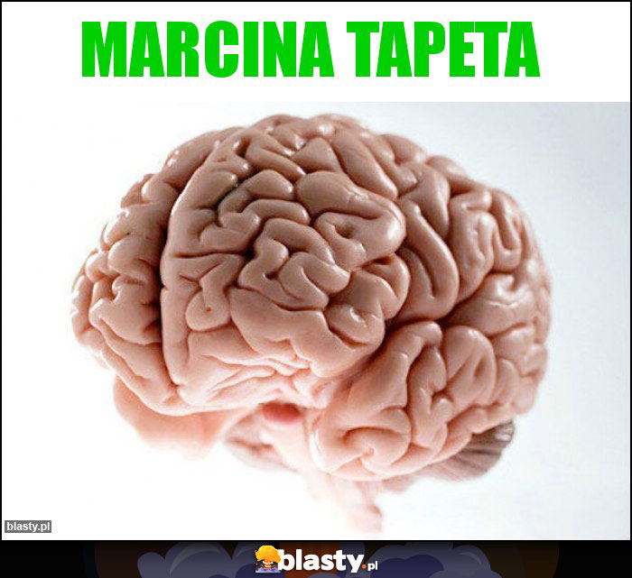 marcina tapeta