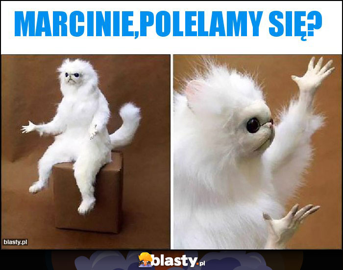 Marcinie,polelamy się?