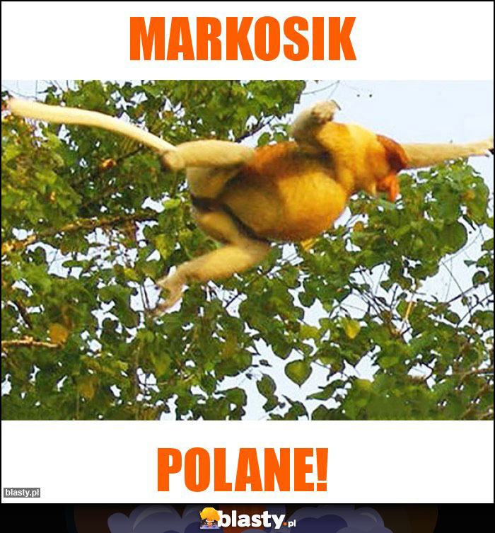 Markosik