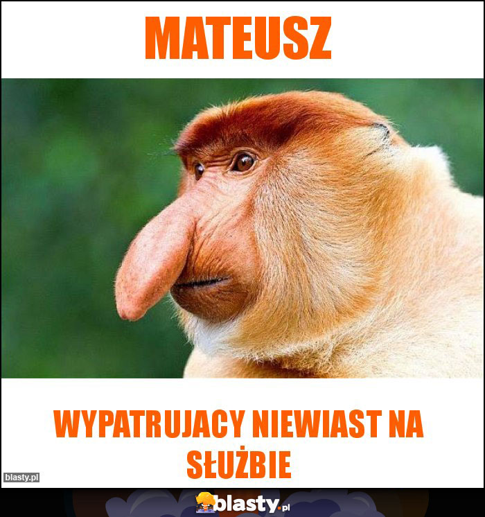 Mateusz