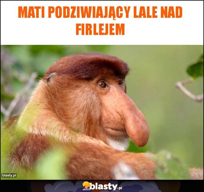 Mati podziwiający lale nad firlejem