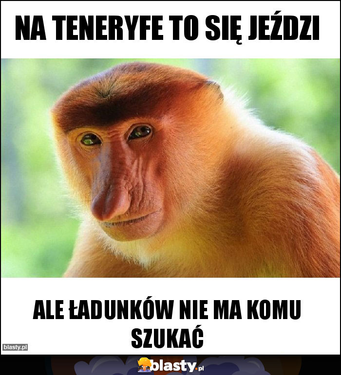 Na Teneryfe to się jeździ