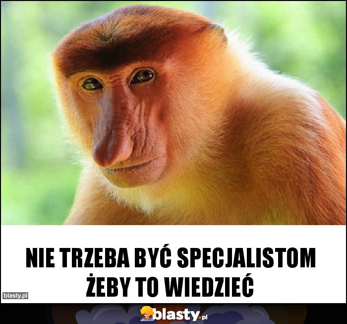 Nie trzeba być specjalistom żeby to wiedzieć