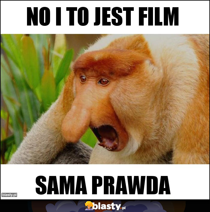 No i to jest film