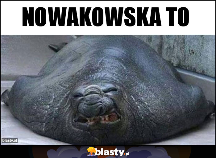 Nowakowska to