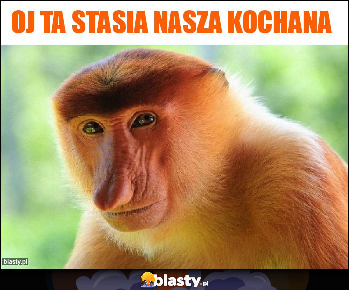 OJ ta stasia nasza kochana