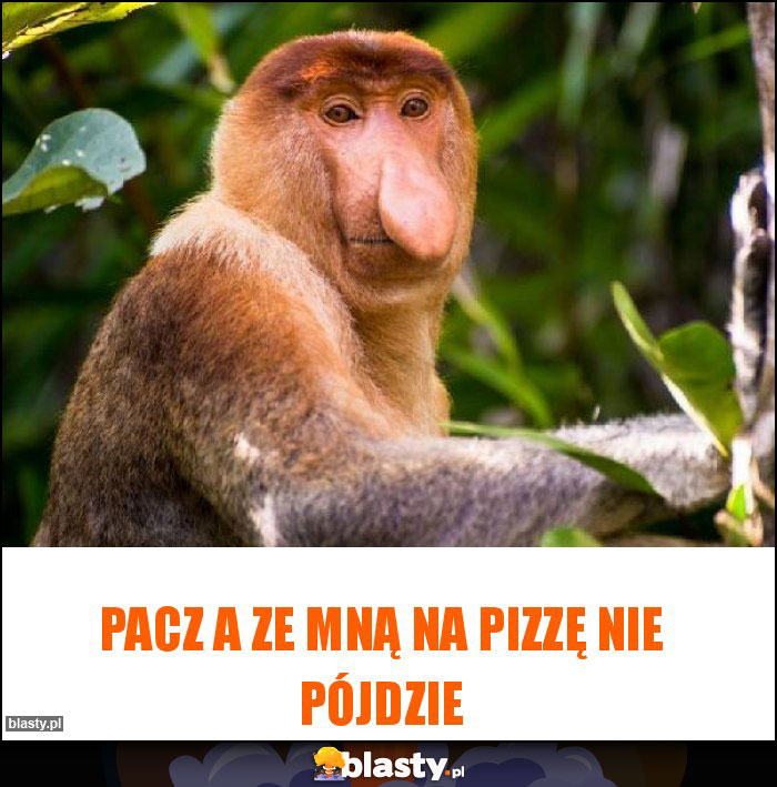 Pacz a ze mną na pizzę nie pójdzie