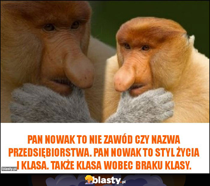 Pan Nowak to nie zawód czy nazwa przedsiębiorstwa. Pan Nowak to styl życia i klasa. Także klasa wobec braku klasy.