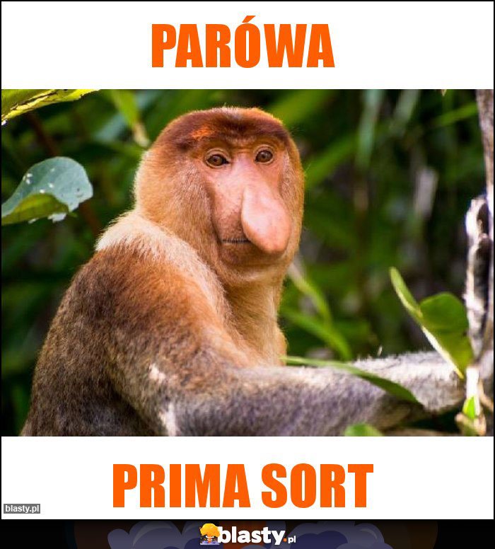 Parówa