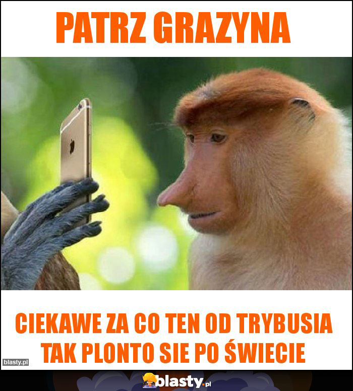 Patrz grazyna