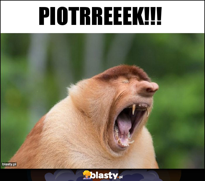 PIOTRREEEK!!!