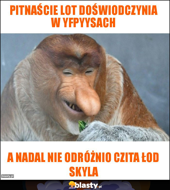 Pitnaście lot doświodczynia w yfpyysach