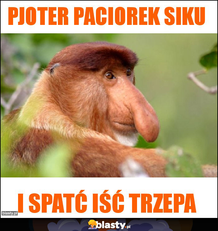 Pjoter Paciorek siku