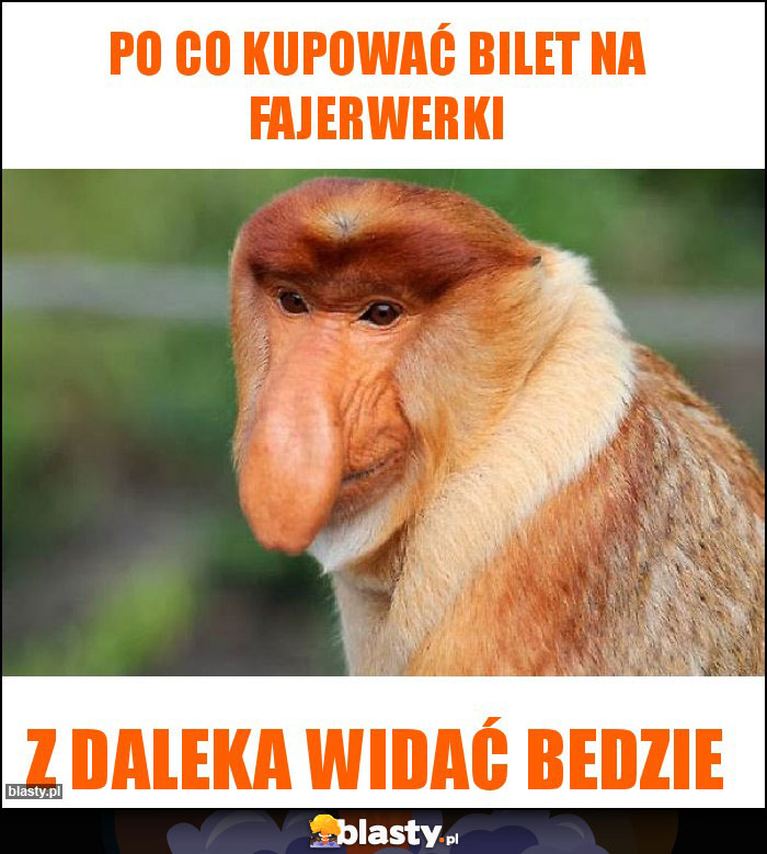 Po co kupować bilet na fajerwerki