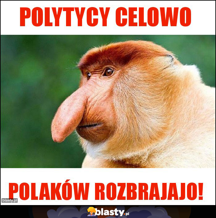 Polytycy celowo