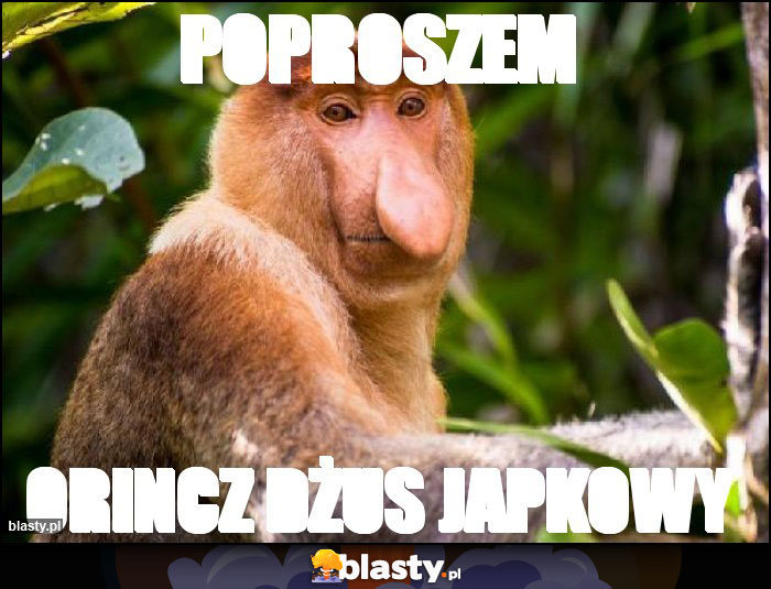 Poproszem