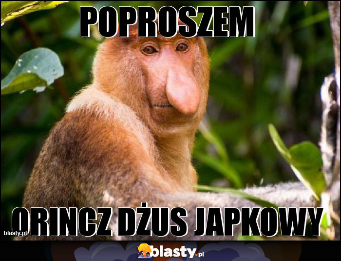 Poproszem