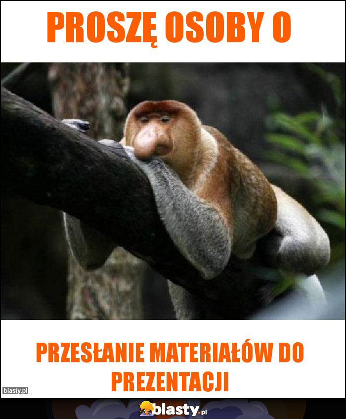 Proszę osoby o