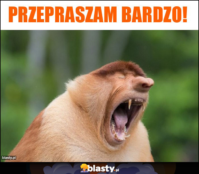 PRZEPRASZAM BARDZO!