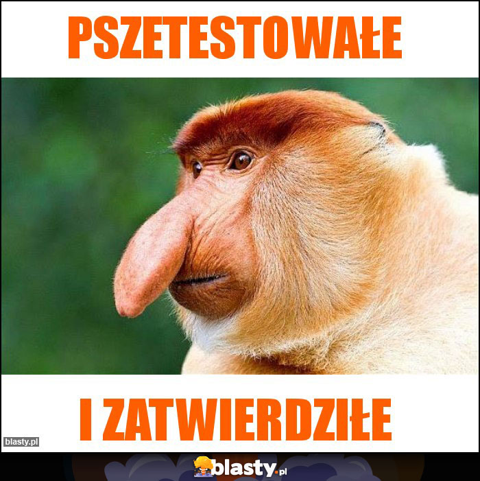 Pszetestowałe