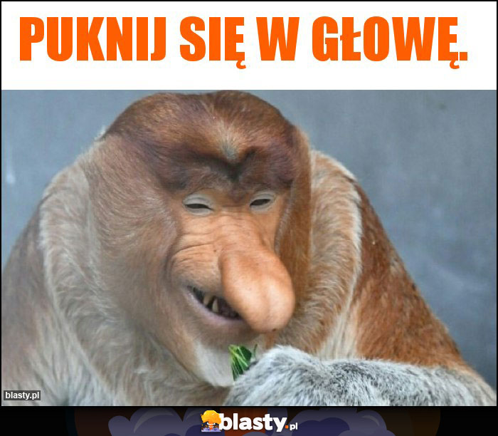 Puknij się w głowę.