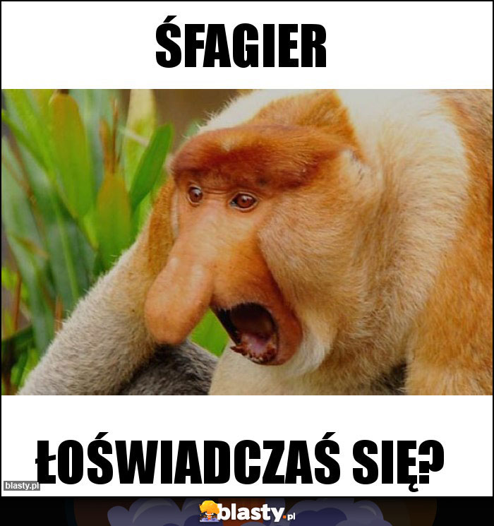 Śfagier