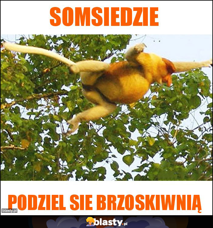 SOMSIEDZIE