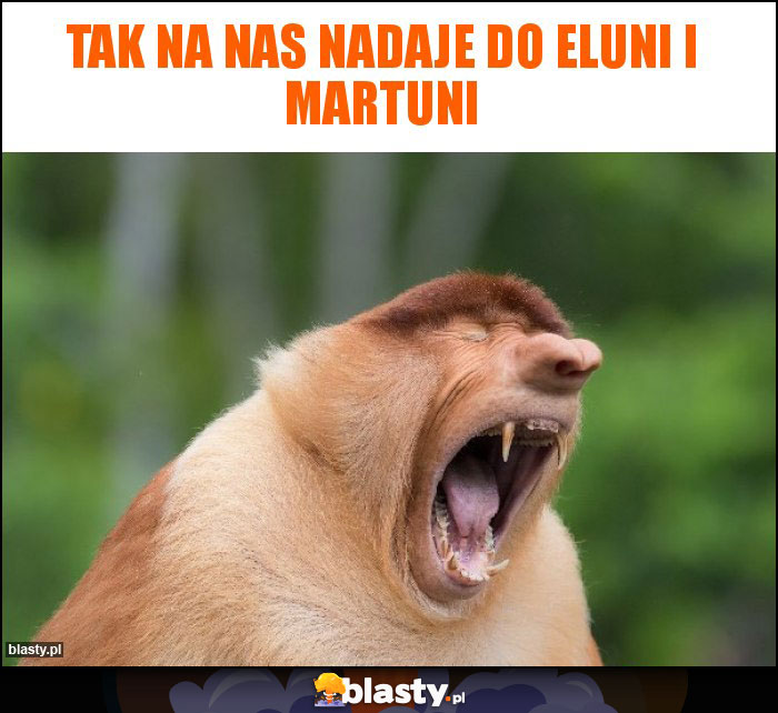 tak na nas nadaje do eluni i martuni