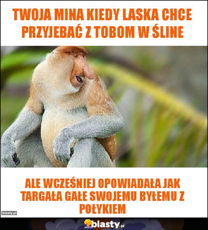 twoja mina kiedy laska chce przyjebać z tobom w śline