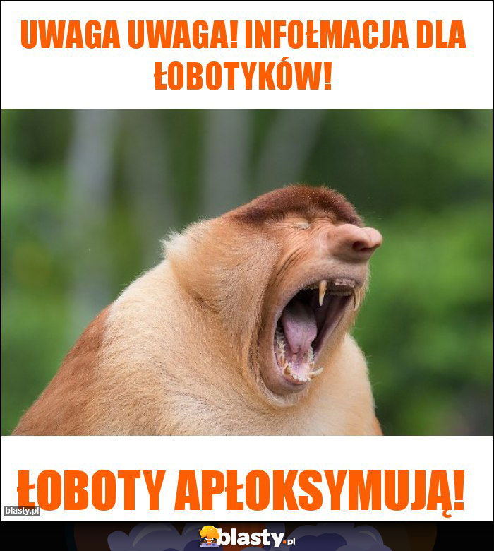 UWAGA UWAGA! Infołmacja dla łobotyków!