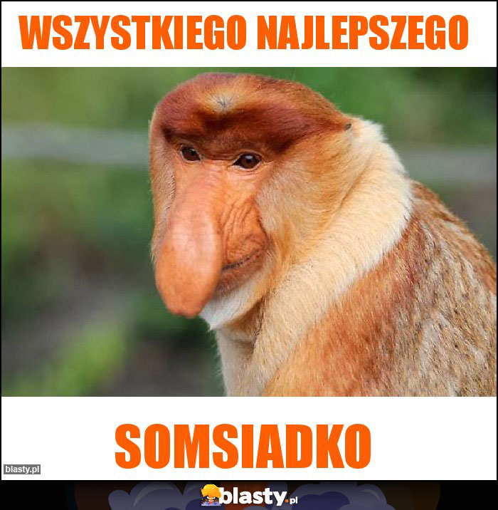 Wszystkiego najlepszego