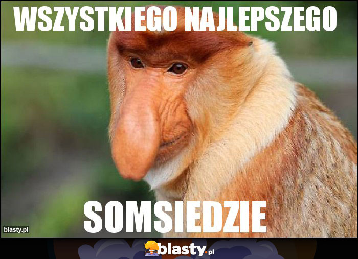 Wszystkiego najlepszego