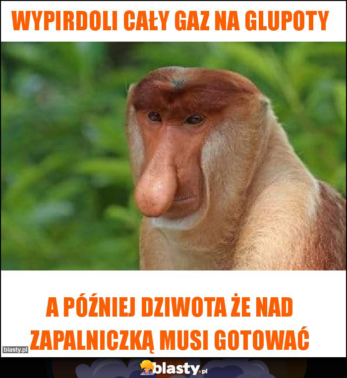 Wypirdoli cały gaz na glupoty