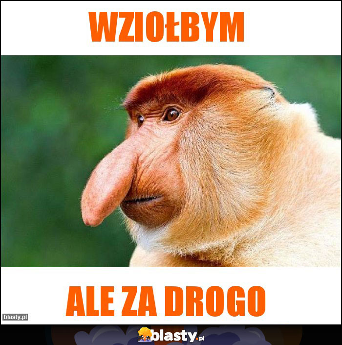 wziołbym